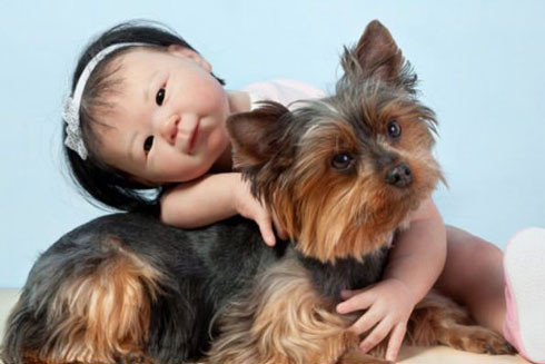 Phát bệnh nguy hiểm từ giun sán chó, mèo ảnh 1