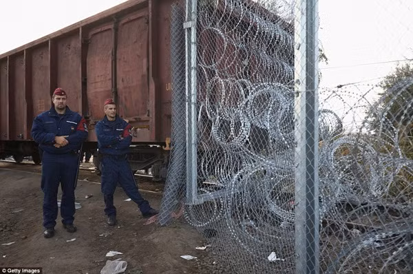 Hungary đóng cửa biên giới, hàng nghìn người tị nạn bị bỏ rơi giữa ngã ba đường ảnh 12