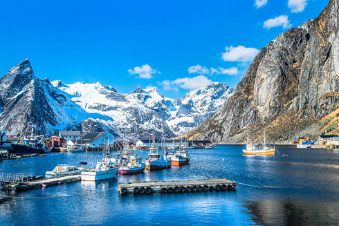 Những bức ảnh từ trái tim ảnh 2