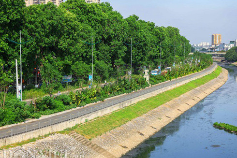 Kỳ tích vì một Hà Nội xanh (3): Phát triển thêm những "ốc đảo" xanh cho người dân Thủ đô ảnh 2