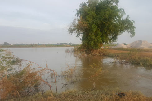 Rủ nhau đi câu, 5 học sinh đuối nước thương tâm ảnh 1