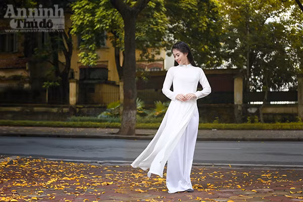 Nữ sinh Đại học PCCC đẹp dịu dàng trong tà áo dài truyền thống ảnh 2