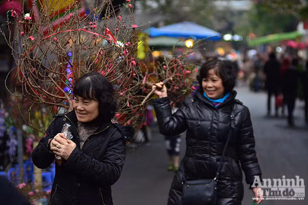 Chợ hoa Hàng Lược vào xuân ảnh 6