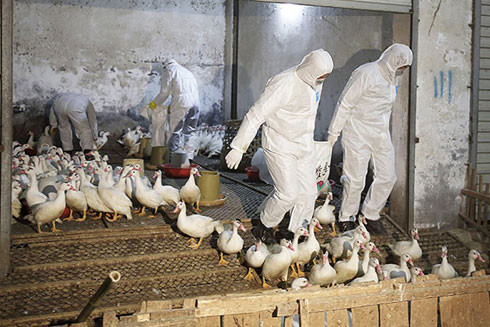 Trung Quốc áp dụng biện pháp mạnh ngăn "bom nổ chậm" ảnh 1