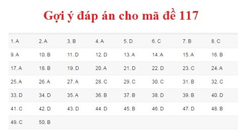 Gợi ý đáp án môn Toán kỳ thi THPT Quốc gia 2017 ảnh 6