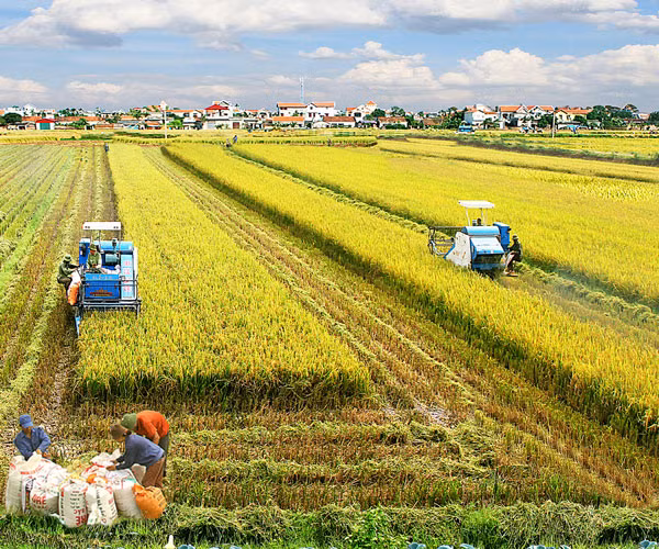 Chấp nhận "xé rào" để có đột phá tư duy trong phát triển ảnh 1