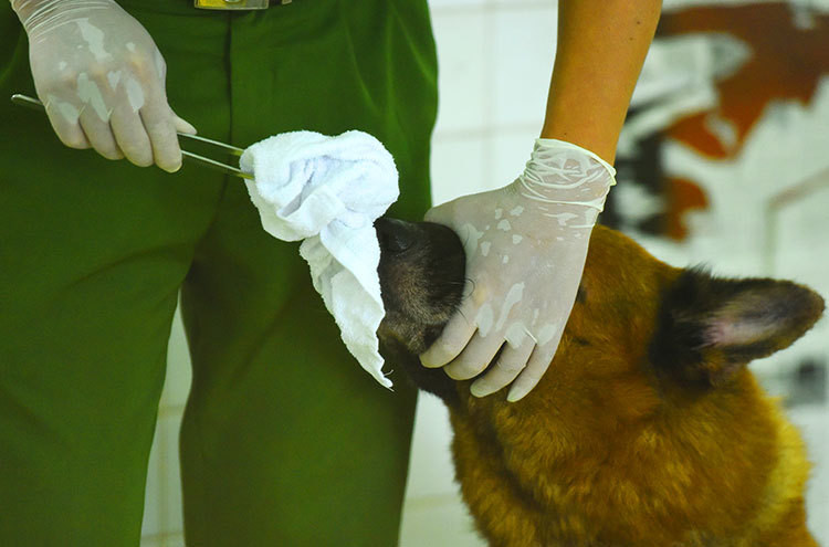 Truy tìm hung thủ sát hại hai vợ chồng trong đêm mưa bão ảnh 3