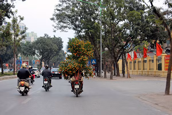 Chiều 30 Tết, Hà Nội vẫn nườm nượp người sắm đào quất ảnh 6 Chiều 30 Tết, Hà Nội vẫn nườm nượp người sắm đào quất ảnh 6