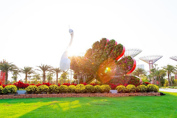 Những kỷ lục "gây choáng" trong Lễ hội hoa xuân lớn nhất Việt Nam ảnh 2