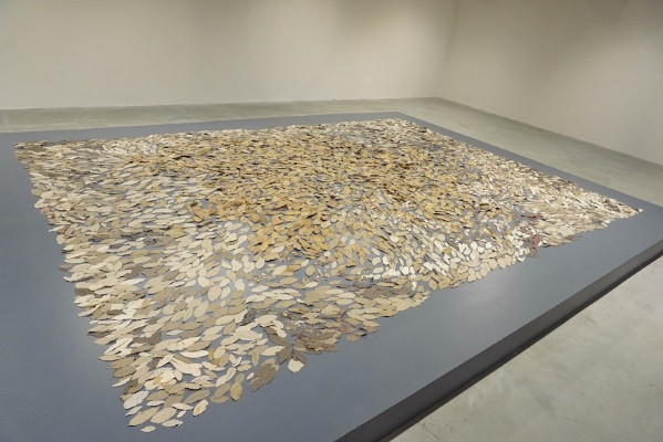 Thơ ca và hoài niệm với "Xe đạp ơi" và "Vòng tròn/Thời gian" ảnh 6