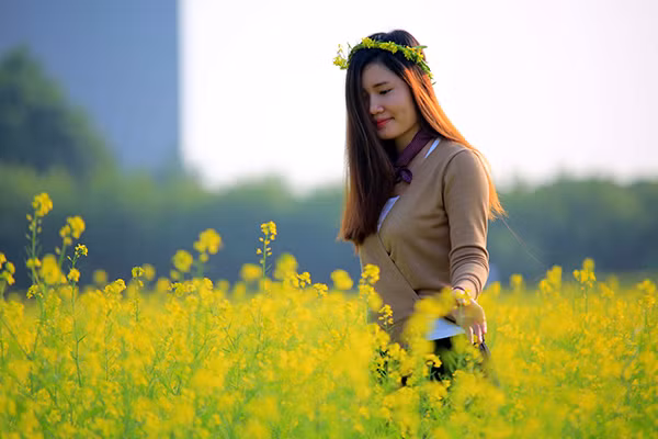 Hoa cải cuối đông rực rỡ ven sông ảnh 4