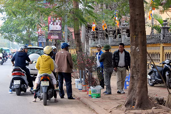 Chiều 30 Tết, Hà Nội vẫn nườm nượp người sắm đào quất ảnh 3 Chiều 30 Tết, Hà Nội vẫn nườm nượp người sắm đào quất ảnh 3