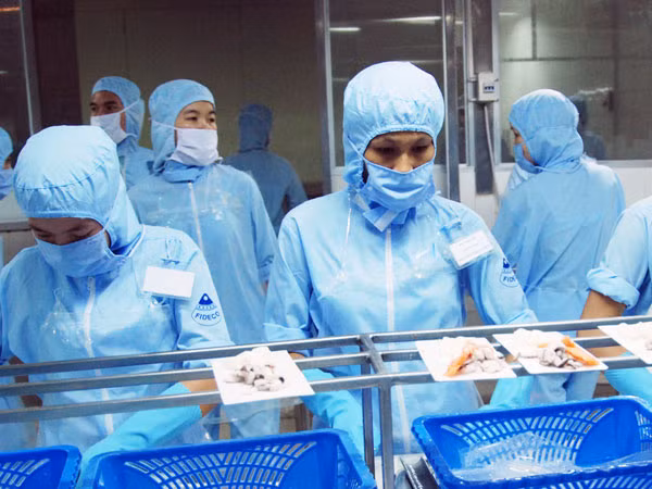 Thúc đẩy doanh nghiệp tham gia mạng phân phối nước ngoài ảnh 1