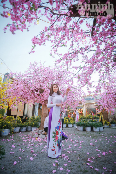 Giới trẻ Hà Nội 'phát cuồng' khung cảnh Hội An ngay tại... Long Biên ảnh 7