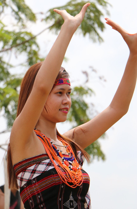 "Hoa rừng" Tây Giang khoe sắc giữa lòng Hà Nội ảnh 4