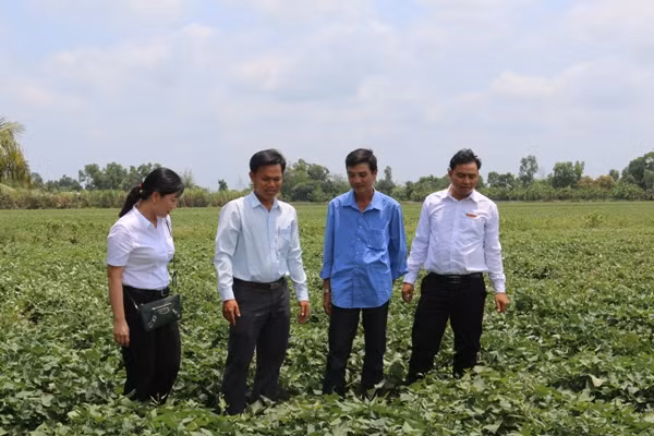 Dấu ấn Agribank trong thành tựu 10 năm xây dựng nông thôn mới ảnh 1