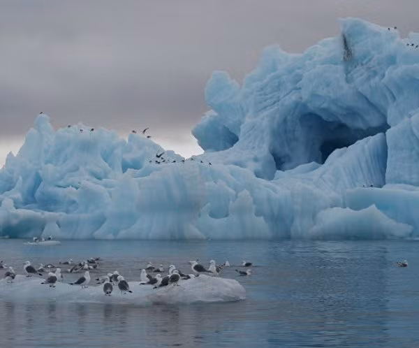 Nga phát triển hệ thống máy bay do thám dưới nước cho vùng Bắc Cực ảnh 1