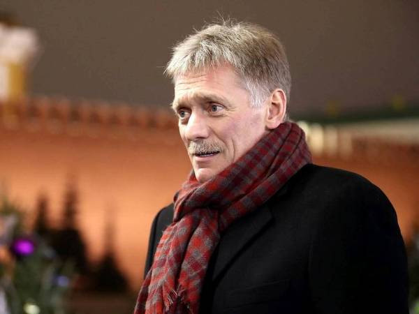 Ông Peskov: 2019 là một năm làm việc rất chăm chỉ của Điện Kremlin ảnh 1