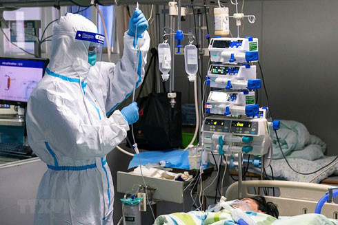 Chạy đua tìm "vũ khí" diệt "kẻ thù" chung virus Corona ảnh 1