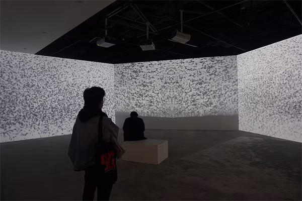 Triển lãm Tỏa 3: Lạc bước trong hành trình cảm xúc ảnh 12