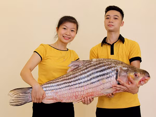 Cá quý Tây Nguyên lên bàn tiệc Hà Nội ảnh 3
