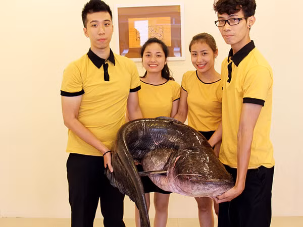 Cá quý Tây Nguyên lên bàn tiệc Hà Nội ảnh 2