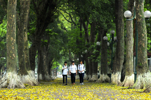 Mùa hè Hà Nội có vẻ nóng hơn xưa! ảnh 1