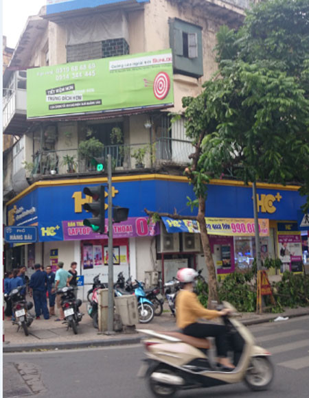 Kẻ gian táo tợn chặt cây xanh trong đêm ảnh 2