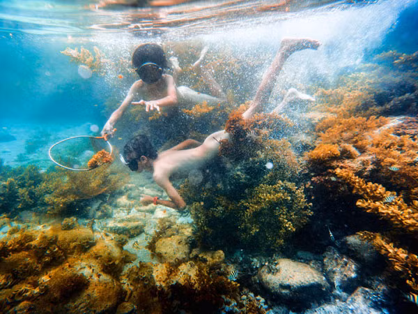 Chạm đến tình yêu Tổ quốc trong trái tim mỗi người ảnh 4