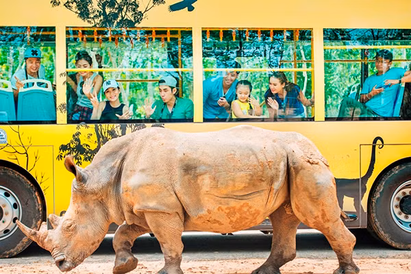 Tê giác con đầu tiên chào đời tại Vinpearl Safari Phú Quốc ảnh 5
