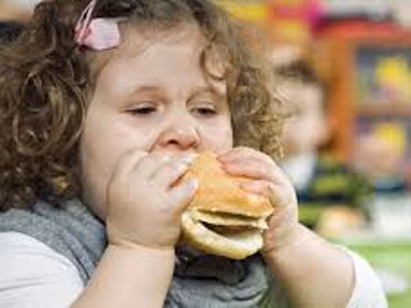 Trẻ béo phì dễ tăng huyết áp ảnh 1