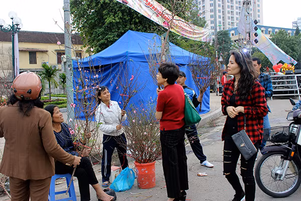 Chiều 30 Tết, Hà Nội vẫn nườm nượp người sắm đào quất ảnh 4 Chiều 30 Tết, Hà Nội vẫn nườm nượp người sắm đào quất ảnh 4