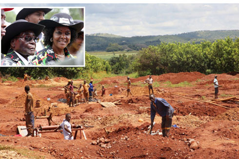 Trái đắng với cựu Tổng thống Zimbabwe ảnh 1