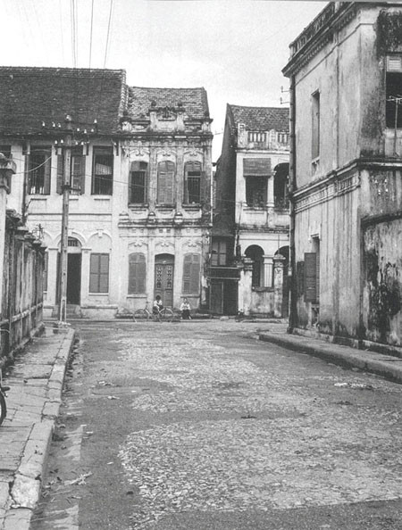 Bạn cùng phố ảnh 1