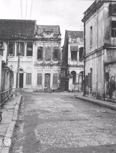 Bạn cùng phố ảnh 1