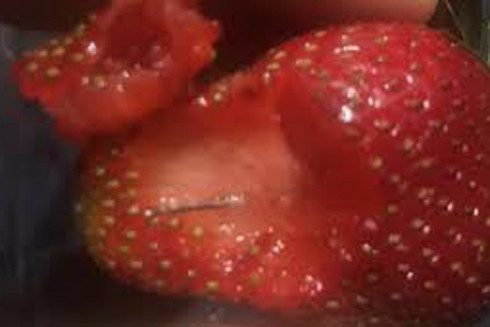 New Zealand phát hiện kim khâu trong quả dâu tây ảnh 1