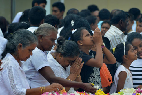 Người châu Á làm nhiều việc thiện trong ngày Đức Phật đản sinh ảnh 2