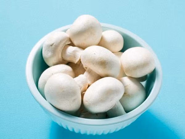 Nấm ngăn ngừa ung thư da ảnh 1