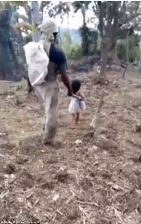 Bé gái 5 tuổi làm "đôi mắt" cho cha mù đi hái dừa hàng ngày ảnh 2