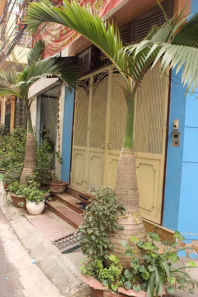 Lạc vào những "vườn rau mini" của người dân Hà Nội ảnh 6