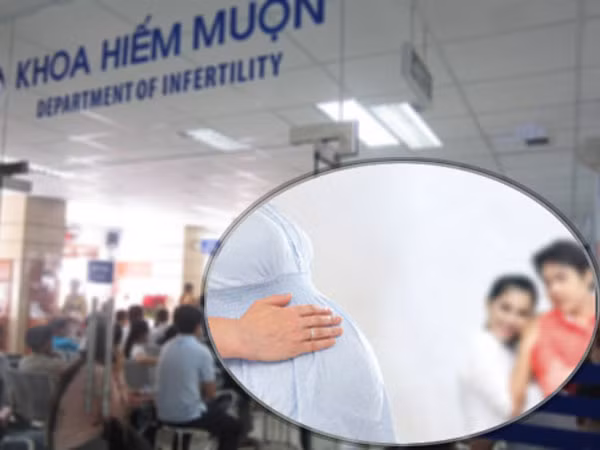 Cơ hội cho các cặp vợ chồng hiếm muộn ảnh 1