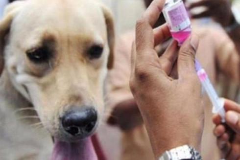 Những mối nguy hiểm chết người hàng ngày vẫn được... thả rông ảnh 2