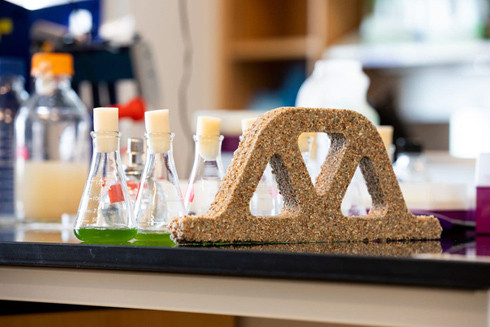 Gạch biết quang hợp, hấp thụ CO2 ảnh 1