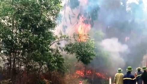 Truy tặng Huân chương Dũng cảm cho người phụ nữ tử vong khi tiếp nước chữa cháy rừng ảnh 1