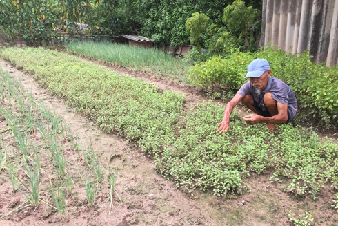 Tinh hoa còn lại những gì? ảnh 1