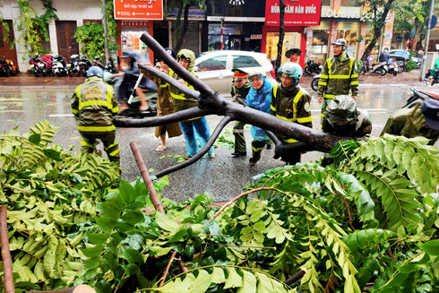 Khắc phục nhanh hàng loạt thiệt hại do hoàn lưu mưa bão gây ra ảnh 2