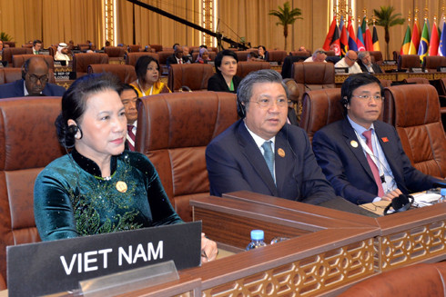 Thúc đẩy ngoại giao nghị viện, hướng tới một thế giới phát triển và hòa bình bền vững ảnh 1