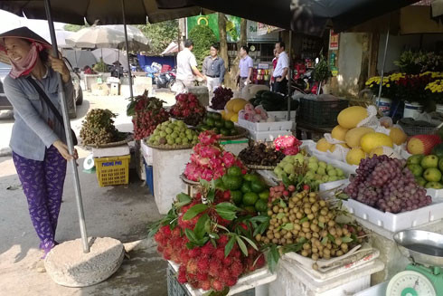 Hàng rào ngăn trái cây "đội lốt" ảnh 1