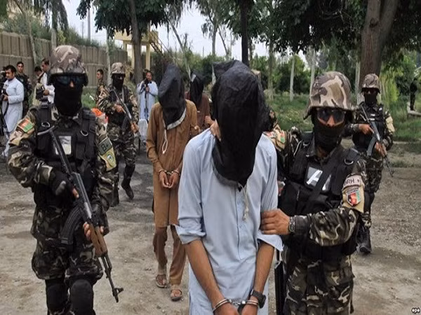 Afghanistan tiêu diệt nhiều phần tử khủng bố của Taliban và IS ảnh 1