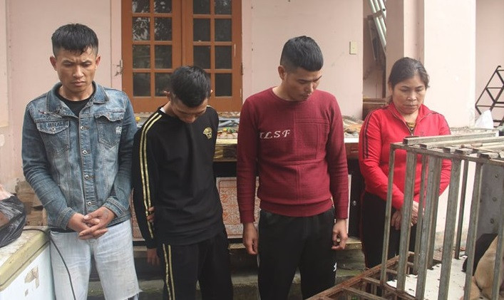 Nhóm đối tượng thực hiện hơn 100 vụ trộm chó sa lưới ảnh 1